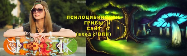 ГАЛЛЮЦИНОГЕННЫЕ ГРИБЫ Алексин