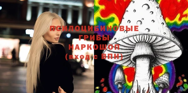 амф Абаза