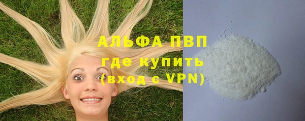стаф Абинск
