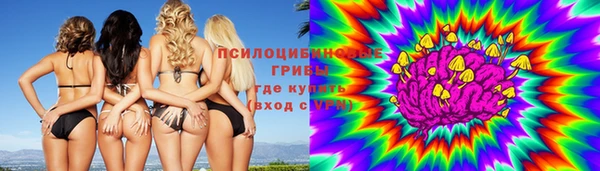 стаф Абинск