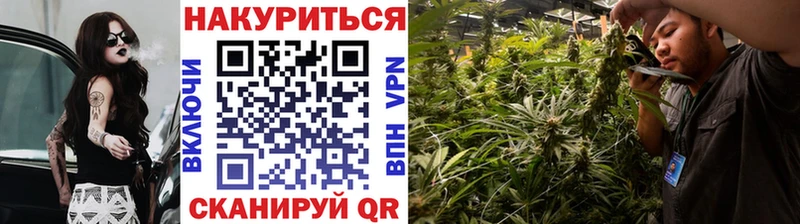 МАРИХУАНА ГИДРОПОН  Дмитровск 